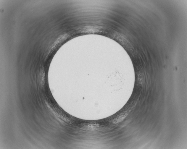 X0000067000304200604241411