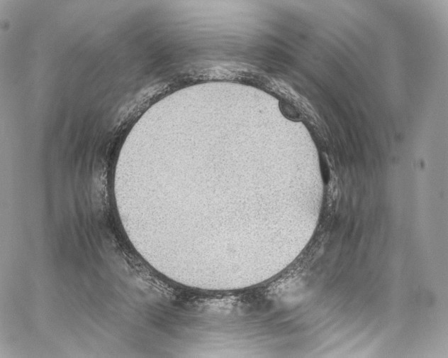 X0000067000306200604241411