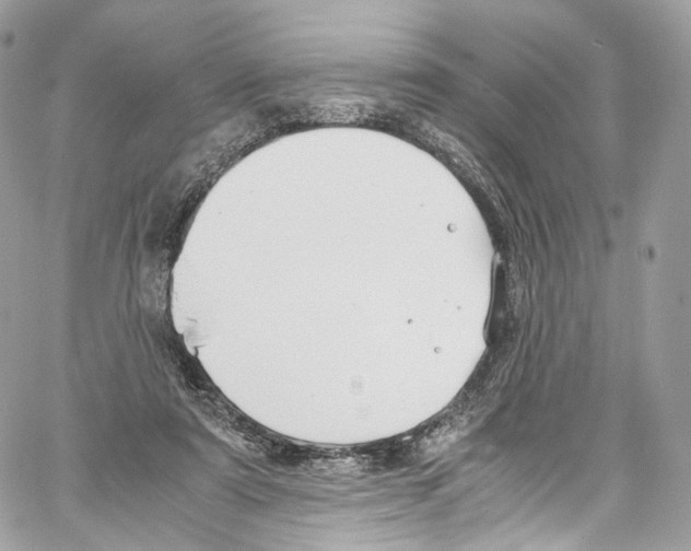 X0000067000307200604241411