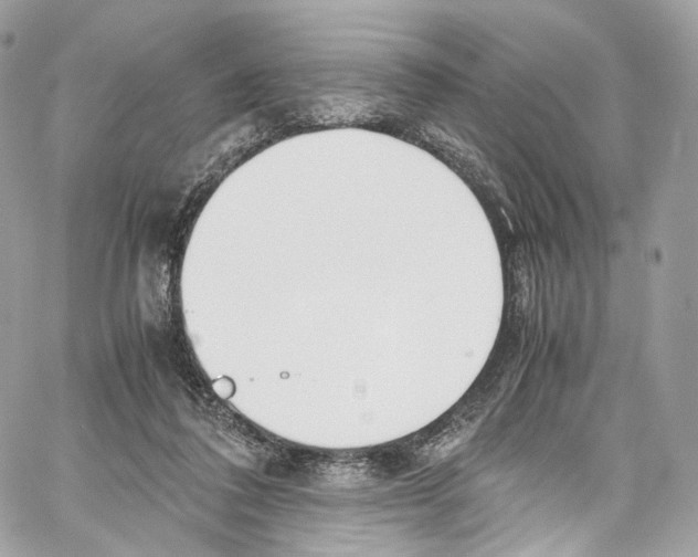 X0000067000308200604241411