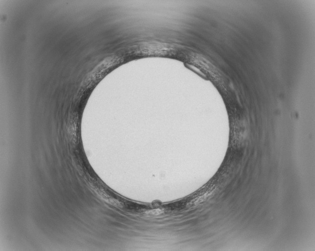 X0000067000309200604241411