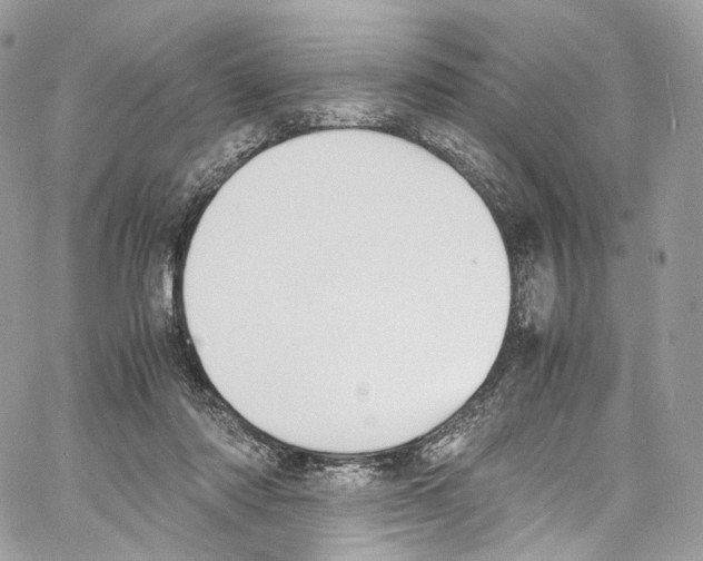 X0000067000310200604241411