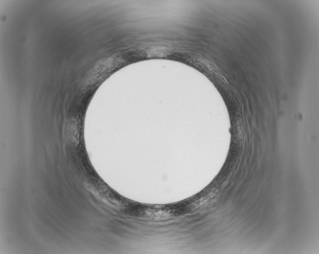 X0000067000311200604241411