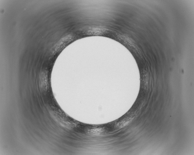 X0000067000312200604241411