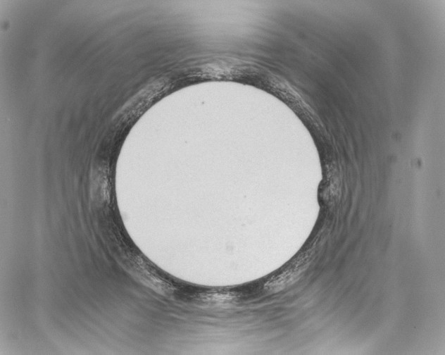 X0000067000313200604241411