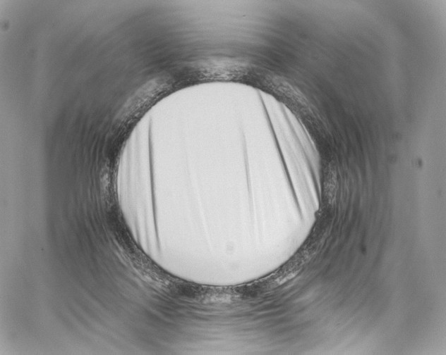 X0000067000314200604241411