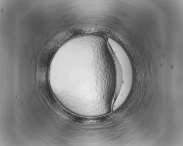 X0000067000315200604241411