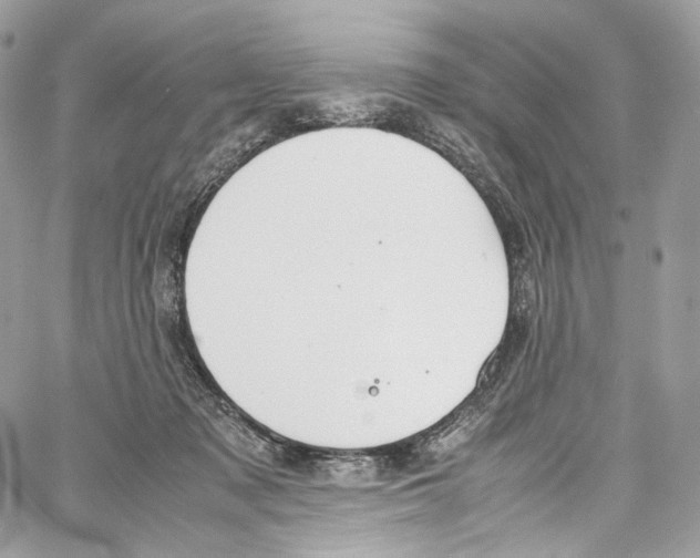 X0000067000317200604241411