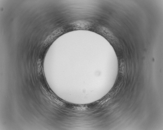 X0000067000318200604241411