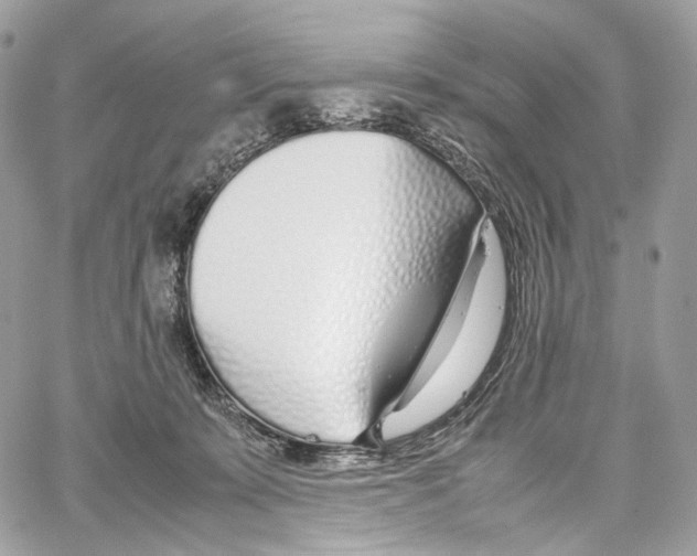 X0000067000319200604241411