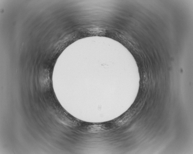 X0000067000320200604241411