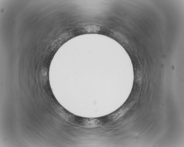 X0000067000321200604241411