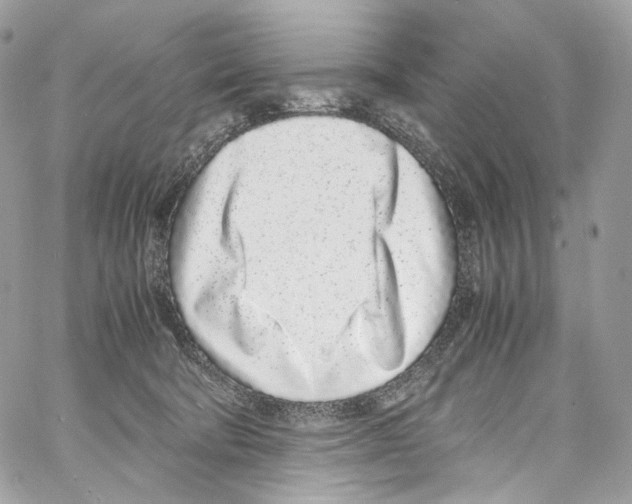 X0000067000322200604241411