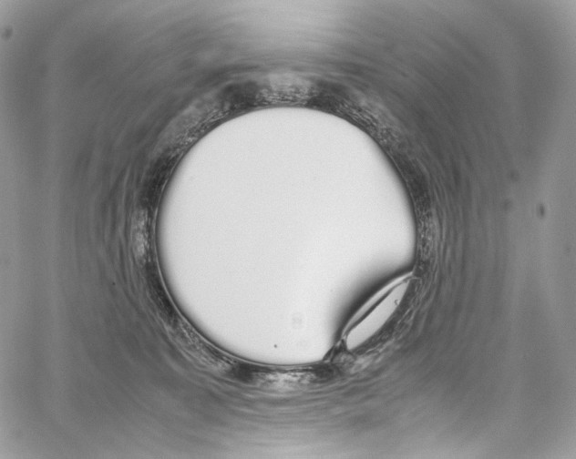 X0000067000323200604241411