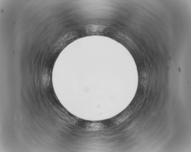 X0000067000324200604241411