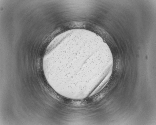 X0000067000326200604241411