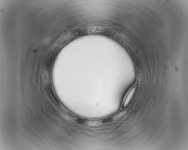 X0000067000327200604241411