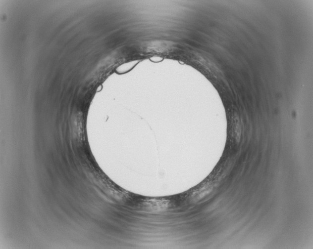 X0000067000328200604241411