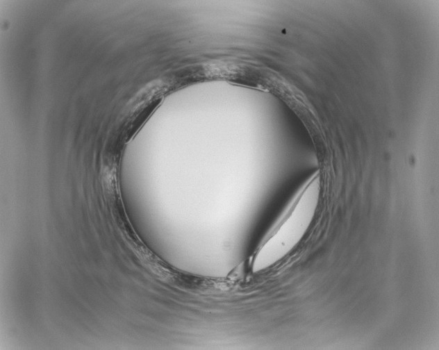 X0000067000329200604241411