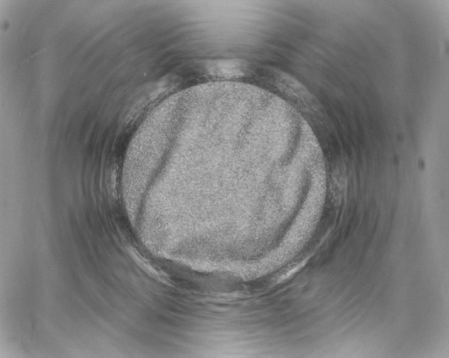 X0000067000330200604241411