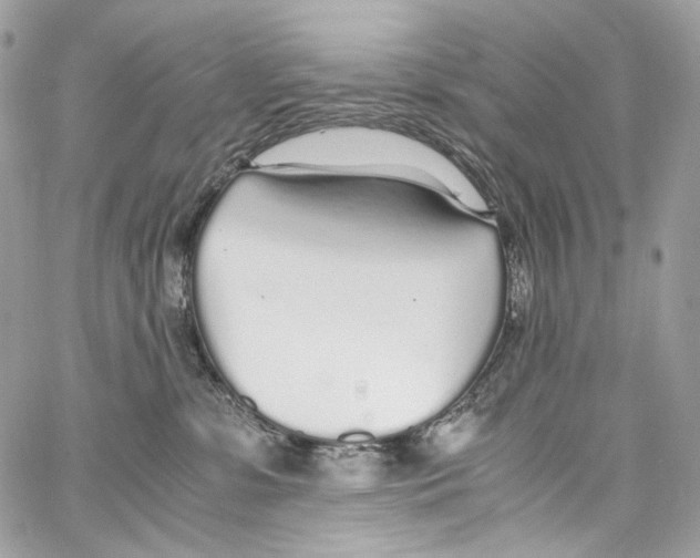 X0000067000331200604241411