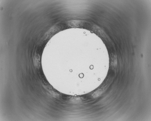 X0000067000332200604241410