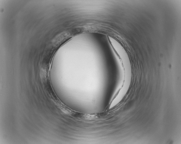 X0000067000333200604241410