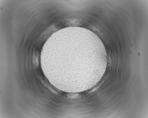 X0000067000334200604241410