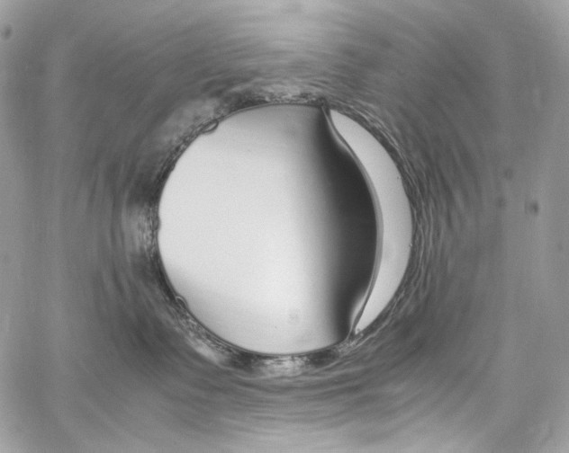 X0000067000335200604241410