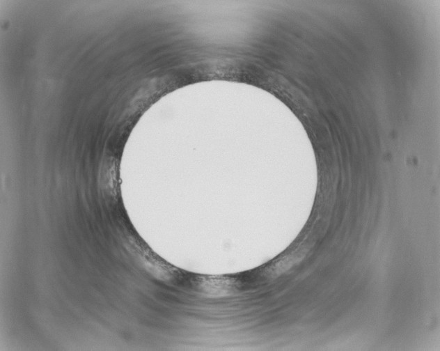 X0000067000336200604241410