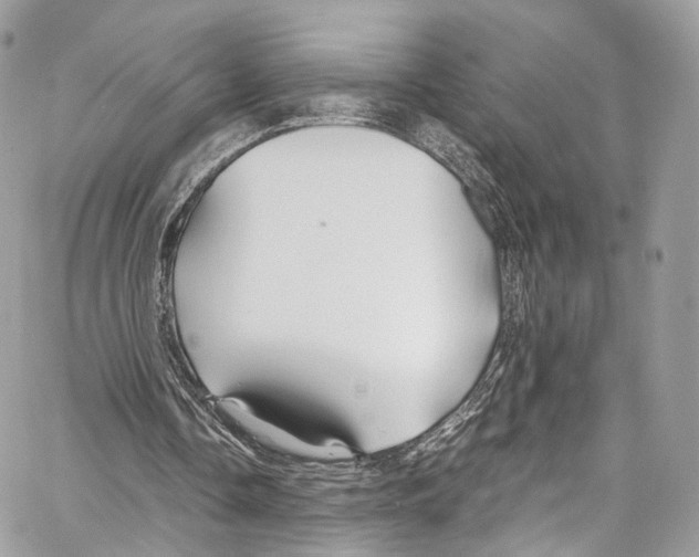 X0000067000338200604241410