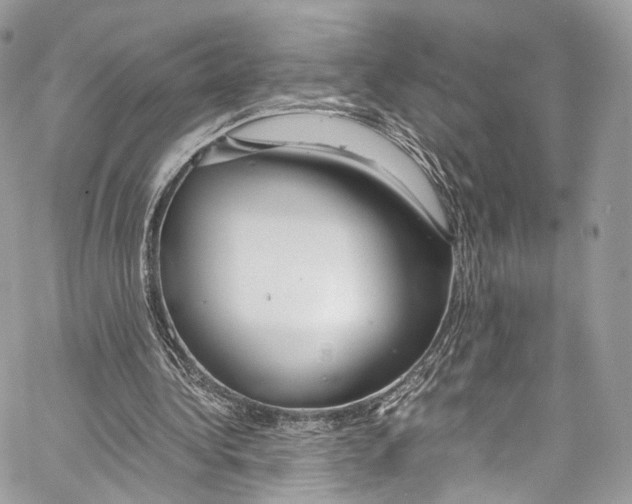 X0000067000340200604241410