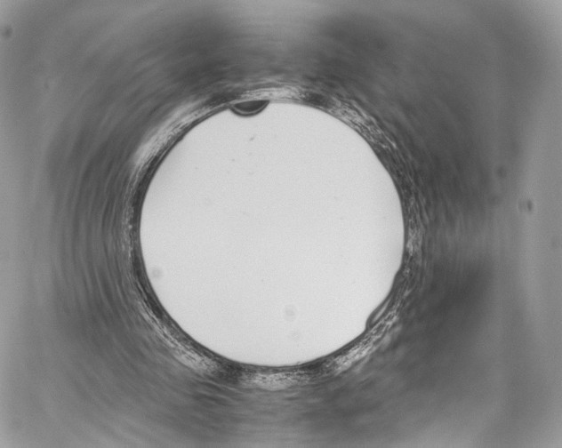 X0000067000341200604241410