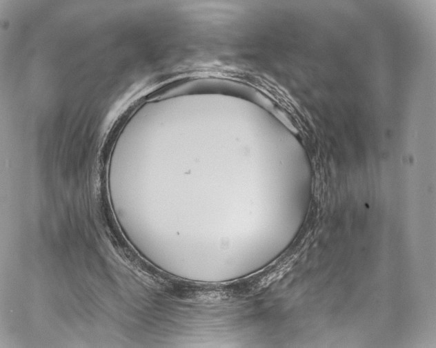 X0000067000344200604241410