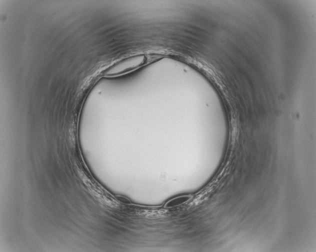 X0000067000345200604241410