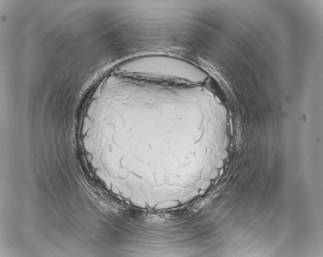 X0000067000346200604241410