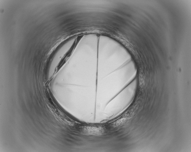 X0000067000347200604241410