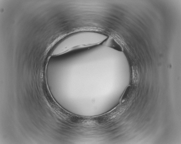 X0000067000348200604241410