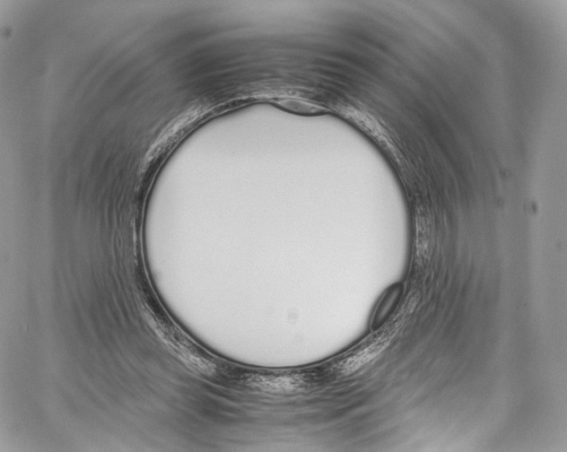 X0000067000349200604241410