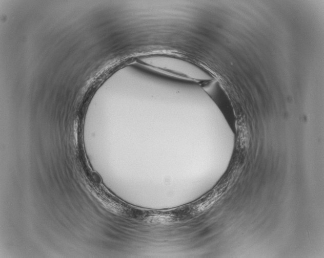 X0000067000350200604241410