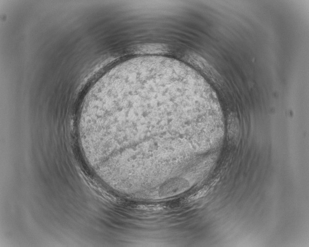 X0000067000351200604241410