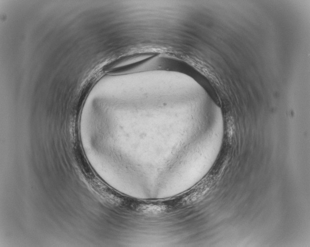 X0000067000352200604241410