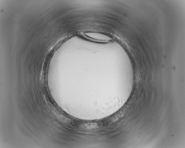 X0000067000353200604241410