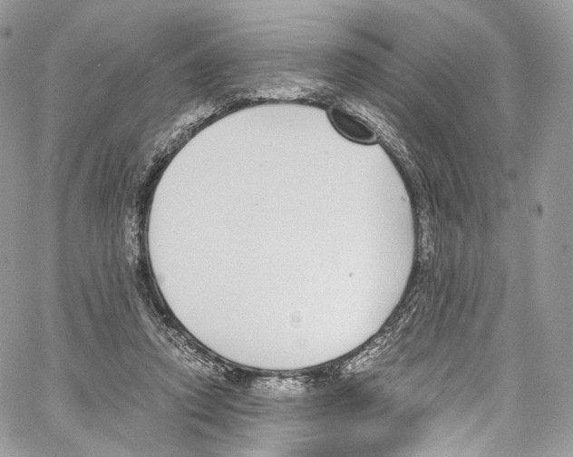 X0000067000354200604241410