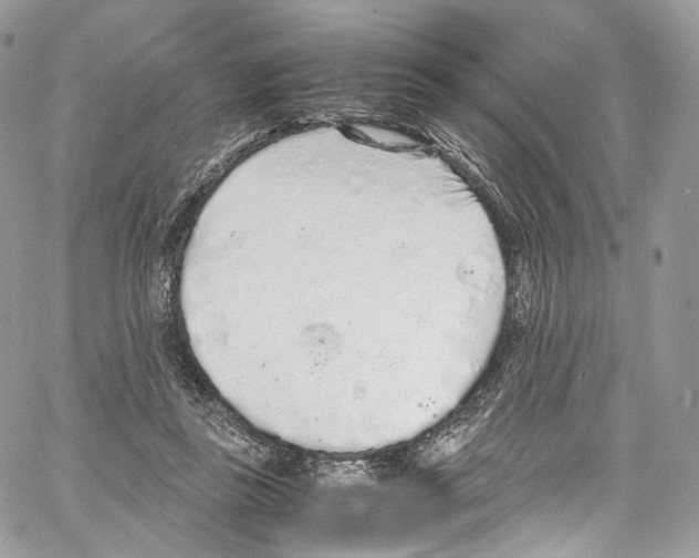 X0000067000355200604241410