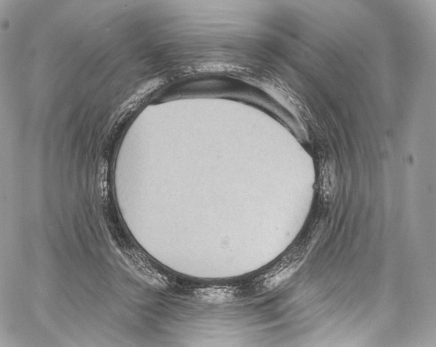 X0000067000356200604241410