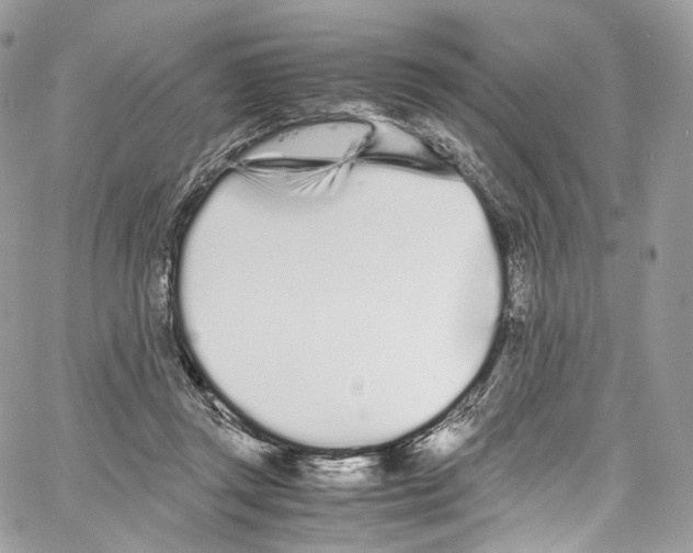 X0000067000357200604241410