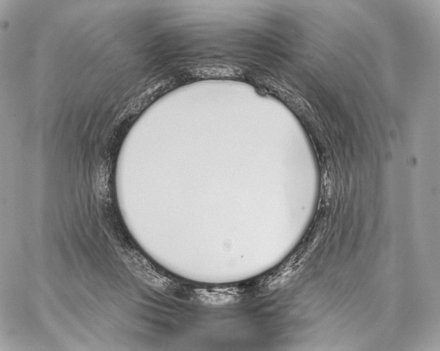 X0000067000359200604241410