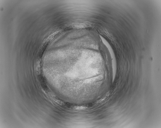 X0000067000360200604241410