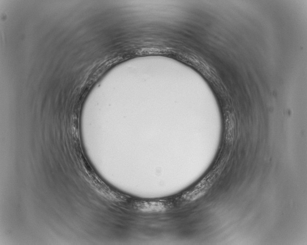 X0000067000361200604241410